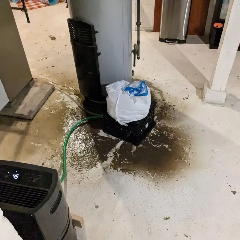 Sewage Backup Cleanup Service in Marietta, GA